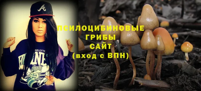 гидра зеркало  Ковров  Галлюциногенные грибы Magic Shrooms  купить закладку 